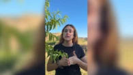 Elena Burillo (26), ganadera y agricultora: "El campo necesita jóvenes dispuestos a innovar, asumir riesgos y producir los alimentos que llegan cada día a nuestras mesas"