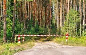 Ограничения на посещение лесов действуют почти по всей Беларуси