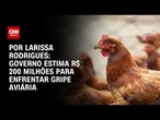 Análise: Governo estima R$ 200 milhões para enfrentar gripe aviária | CNN 360º