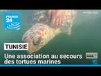 En Tunisie, une association au secours des tortues marines • FRANCE 24