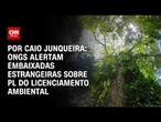 ONGs recorrem a embaixadas contra PL do licenciamento ambiental | CNN PRIME TIME