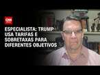 Especialista: Trump usa tarifas e sobretaxas para diferentes objetivos | WW