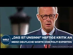 DEUTSCHLAND: "Das ist Unsinn" Fataler Schritt von Merz! Deutliche Kritik vom Polit-Experten
