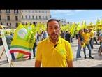 Protesta contro trafficanti olio a Bari, Granieri (Coldiretti): 8 bottiglie su 10 finto extravergine