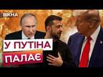 БЛИЗЬКО! Зустріч ЗЕЛЕНСЬКОГО Й ТРАМПА  КІНЕЦЬ ПУТІНА НАБЛИЖАЄТЬСЯ