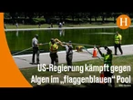 Lincoln-Memorial-Pool: Algenplage macht Trump-Wunsch zunichte