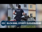 ELCH AUF BRAUTSCHAU: Zugverkehr in Niederösterreich lahmgelegt – Polizei bittet um Rücksicht!