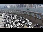 No Comment : les pandas envahissent Hong Kong