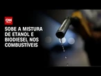 Sobe a mistura de etanol e biodiesel nos combustíveis a partir desta sexta-feira (1º) | CNN NOVO DIA