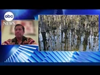 Florida Native American leaders express concern over ‘Alligator Alcatraz’