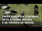 União europeia confirma veto a carne bovina e de frango do Brasil