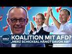 FRIEDRICH MERZ: Brandmauer gefallen? Koalition mit AfD? Aktuelles CDU-Dilemma mit Koalitionsoptionen