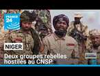 Niger : deux groupes rebelles hostiles au Conseil national pour la sauvegarde de la patrie (CNSP)