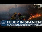 WALDBRAND BEI MADRID: 3000 Hektar in Flammen – Anwohner sollen Häuser nicht verlassen!