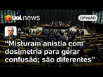 Anistia e dosimetria são como água e óleo: não se misturam; só querem gerar confusão | Maierovitch