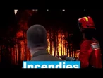 Canicule et incendies : l’Europe frappée de plein fouet par le réchauffement climatique