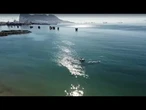 Plus de 150 épaves découvertes sous les eaux de Gibraltar