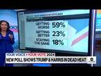 Harris and Trump in dead heat leading up to Election Day, new ABC News/Ipsos poll says