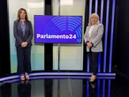 Al Senato si studia l’albo dei pizzaioli, per ora fantasmi all’ombra degli chef