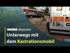Modellprojekt in Rumänien soll Straßenhunden helfen I ARD Morgenmagazin