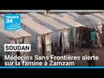 Guerre au Soudan : situation nutritionnelle catastrophique • FRANCE 24