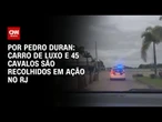 Análise: Carro de luxo e 45 cavalos são recolhidos em ação no RJ | LIVE CNN