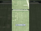'86 47' written in grass on National Mall #foxnews #news #us #fox