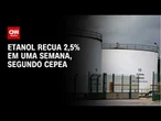 Preço do etanol recua em SP apesar de vendas recordes | CNN AGRO NEWS