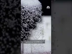 Sugar molecule detected in space