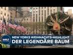 NEW YORK: Weihnachten XXL - Der größte Baum der Stadt erstrahlt bald in vollem Glanz