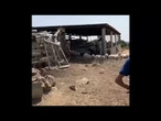 Il rito della tosatura nell'eremo del re pastore