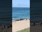 Shocking moment drugs gang are chased onto popular UK beach in front of stunned sunbathers
