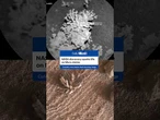 NASA spotted coral-shaped rock on Mars, sparking ancient life speculation