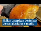 Una pieza de ámbar de casi dos kilos y medio es encontrada en Rusia