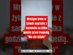 Mrożące krew w żyłach nagranie z samolotu na kilka godzin przed tragedią. "Nic nie działa"