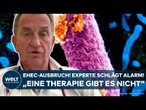 MECKLENBURG-VORPOMMERN: EHEC-Ausbruch! Experte warnt! "Dann wird die Gefahr noch größer"
