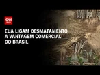 EUA voltam a associar desmatamento no Brasil a vantagem comercial | CNN 360°