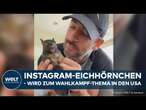 INSTAGRAM-EICHHÖRNCHEN TOT: Peanut wird zum Politikum - Republikaner geben Demokraten die Schuld