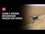 Soja atinge melhor cotação no Brasil devido ao clima e cenário internacional | CNN AGRO NEWS