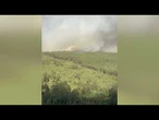 OGIEŃ WYMYKA SIĘ SPOD KONTROLI! Potężny pożar lasu pod Warszawą!