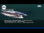 Drone footage shows humpback whale feeding in the Hamptons