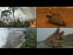 Área incendiada no Brasil em 2024 foi 62% maior que a média de quatro décadas | AFP