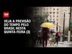 Previsão do tempo: São Paulo deve ter mais frio e chuva nesta quinta-feira (3) | CNN NOVO DIA