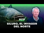 OBJETIVO PLANETA: LORENZO MILÁ y el SILURO, un PROBLEMA con FORMA de PEZ | RTVE