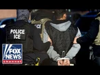 ICE agents facing consequences of Dems’ ‘demonization’: DHS official