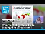 Comment l'Egypte a-t-elle éradiqué le paludisme après un siècle d'effort ? • FRANCE 24