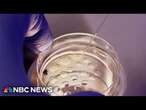 NBC News tracks errors at fertility clinics nationwide