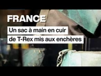 Un sac à main en cuir de tyrannosaure mis aux enchères à Paris • FRANCE 24