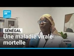Sénégal : 21 personnes décédées et 258 personnes contaminées par une maladie virale