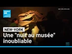 Etats-Unis : une véritable "nuit au musée" inoubliable à New York • FRANCE 24
